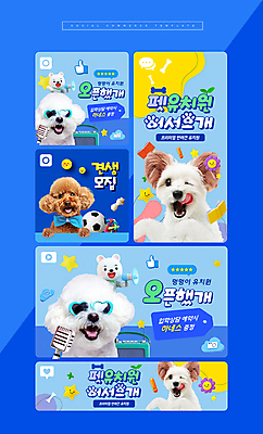 PSD 템플릿 교육 반려견 사람없음 파란색 반려동물 선글라스 귀여움 유치원 오픈 강아지 푸들 모집 반려 비숑프리제 애견유치원 믹스견 이미지템플릿 동물 안경 컬러 컨셉 개 파일형식