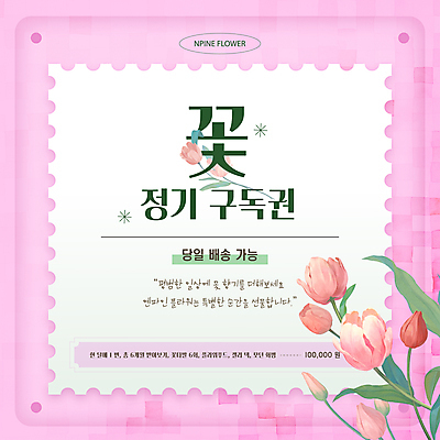 템플릿 분홍색 프레임 사람없음 튤립 꽃집 테두리 배송 서비스 구독 이미지템플릿 AI파일 꽃 컬러 상점 파일형식 벡터