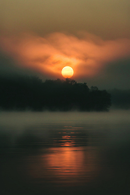 JPG 편집이미지 자연 하늘 아침 풍경 사람없음 태양 반사 일출 새벽 안개 수면 강가 디지털합성 시작 풀숲 편집실사 AI포토 AI콘텐츠 주간 자연요소 날씨 물 강 노을 숲 CG 생태계 파일형식