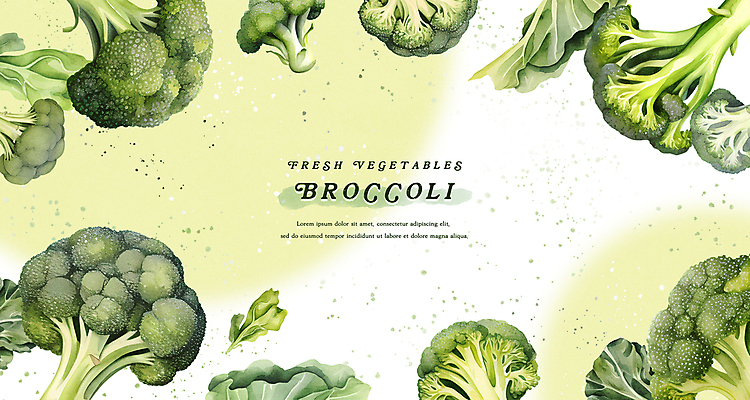 PSD 웰빙 일러스트 수채화 프레임 사람없음 초록색 신선 브로콜리 카피스페이스 국내일러스트 컬러 채소 공백 파일형식