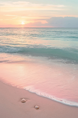 JPG 구름 편집이미지 분홍색 하늘 조개 풍경 해변 사람없음 태양 분위기 휴양지 편집실사 AI포토 AI콘텐츠 자연요소 바다 컬러 컨셉 어패류 장소 CG 파일형식