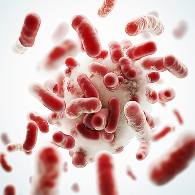 JPG 편집이미지 의학 세포 근접촬영 사람없음 3D 질병 디지털합성 생물학 미생물 박테리아 생명과학 유산균 편집소스 이미지편집 편집3D AI컴퓨터그래픽 AI콘텐츠 교육 뷰포인트 과학 생물 파일형식