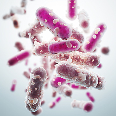 JPG 편집이미지 의학 세포 근접촬영 사람없음 3D 질병 디지털합성 생물학 미생물 박테리아 생명과학 유산균 편집소스 이미지편집 편집3D AI컴퓨터그래픽 AI콘텐츠 교육 뷰포인트 과학 생물 파일형식