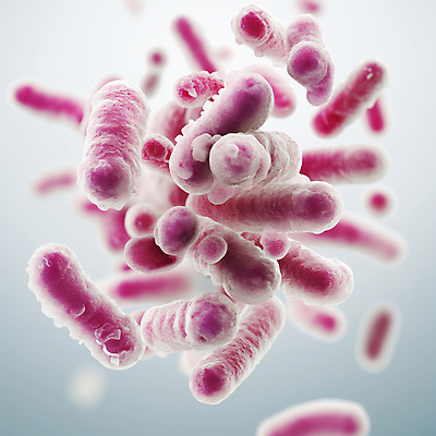 JPG 편집이미지 의학 세포 근접촬영 사람없음 3D 질병 디지털합성 생물학 미생물 박테리아 생명과학 유산균 편집소스 이미지편집 편집3D AI컴퓨터그래픽 AI콘텐츠 교육 뷰포인트 과학 생물 파일형식