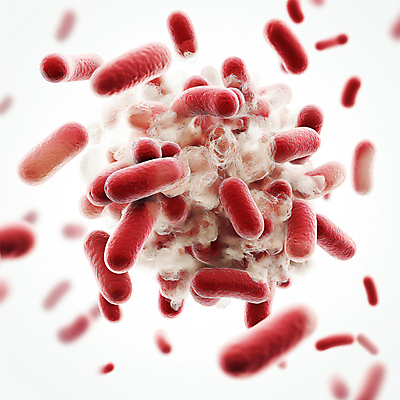 JPG 편집이미지 의학 세포 근접촬영 사람없음 3D 질병 디지털합성 생물학 미생물 박테리아 생명과학 유산균 편집소스 이미지편집 편집3D AI컴퓨터그래픽 AI콘텐츠 교육 뷰포인트 과학 생물 파일형식