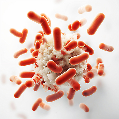 JPG 편집이미지 의학 세포 근접촬영 사람없음 3D 질병 디지털합성 생물학 미생물 박테리아 생명과학 유산균 편집소스 이미지편집 편집3D AI컴퓨터그래픽 AI콘텐츠 교육 뷰포인트 과학 생물 파일형식