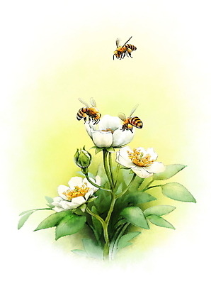 PSD 화초 잎 일러스트 세마리 사람없음 봄 풀 꿀벌 번짐 찔레꽃 국내일러스트 식물 계절 꽃 3 벌_곤충 파일형식 효과