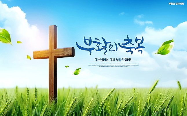 PSD 구름 편집이미지 기독교 잎 자연 하늘 부활절 풍경 초원 사람없음 빛 나무십자가 청보리밭 이미지편집 자연요소 식물 기념일 종교 십자가 밭 생태계 파일형식