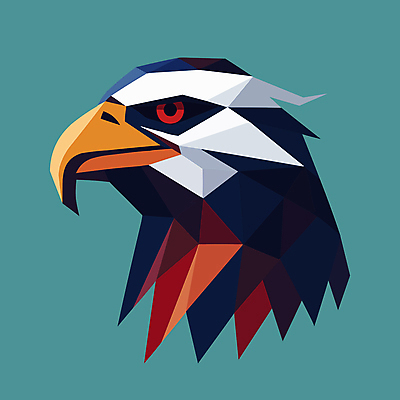 한마리 일러스트 사람없음 심볼 독수리 맹금류 국내일러스트 AI파일 1 조류 파일형식 벡터