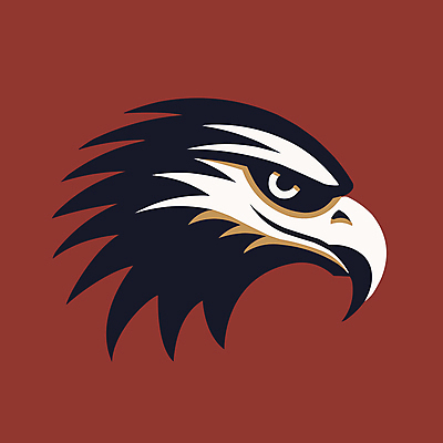 한마리 일러스트 사람없음 심볼 독수리 맹금류 국내일러스트 AI파일 1 조류 파일형식 벡터