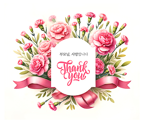 PSD 템플릿 배너 꽃 분홍색 프레임 사랑 사람없음 어버이날 카네이션 감사 이미지템플릿 식물 기념일 감정 컬러 파일형식