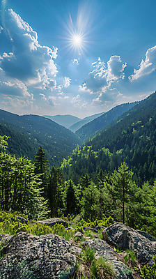 JPG 나무 구름 편집이미지 자연 하늘 나뭇잎 풍경 사람없음 태양 환경 돌_바위 분위기 숲 디지털합성 편집실사 AI포토 AI콘텐츠 자연요소 식물 컨셉 잎 CG 생태계 파일형식