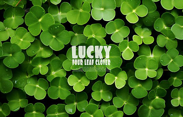 PSD 편집이미지 사람없음 초록색 행운 네잎클로버 카피스페이스 이미지편집 식물 컬러 컨셉 공백 클로버 파일형식