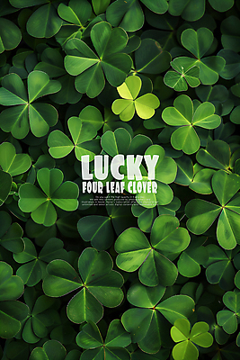 PSD 편집이미지 사람없음 초록색 행운 네잎클로버 카피스페이스 이미지편집 식물 컬러 컨셉 공백 클로버 파일형식