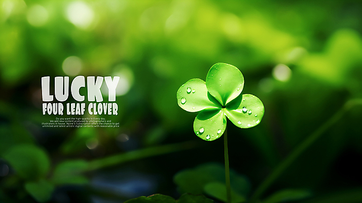 PSD 편집이미지 사람없음 아웃포커스 초록색 젖음 행운 네잎클로버 카피스페이스 이미지편집 식물 컬러 컨셉 촬영기법 공백 클로버 파일형식