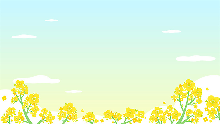 구름 하늘색 백그라운드 봄꽃 하늘 사람없음 노란색 봄풍경 봄 유채 유채밭 카피스페이스 모션그래픽 MP4 MOV 자연요소 계절 꽃 컬러 밭 풍경 파란색 공백 동영상 파일형식