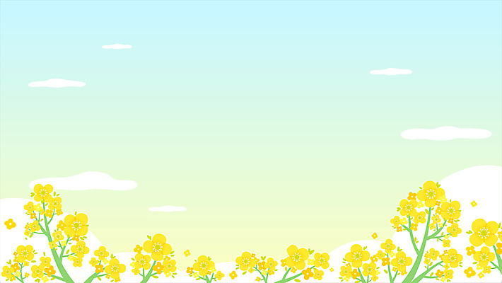 구름 하늘색 백그라운드 봄꽃 하늘 사람없음 노란색 봄풍경 봄 유채 유채밭 카피스페이스 모션그래픽 MP4 MOV 자연요소 계절 꽃 컬러 밭 풍경 파란색 공백 동영상 파일형식