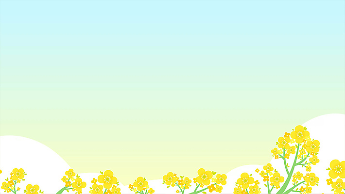 구름 하늘색 백그라운드 봄꽃 하늘 사람없음 노란색 봄풍경 봄 유채 유채밭 카피스페이스 모션그래픽 MP4 MOV 자연요소 계절 꽃 컬러 밭 풍경 파란색 공백 동영상 파일형식
