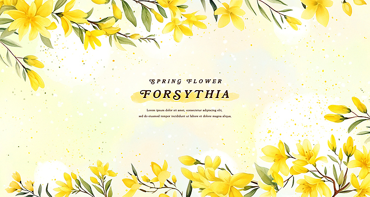 PSD 백그라운드 잎 일러스트 수채화 프레임 사람없음 노란색 봄 개나리 국내일러스트 식물 계절 꽃 컬러 파일형식