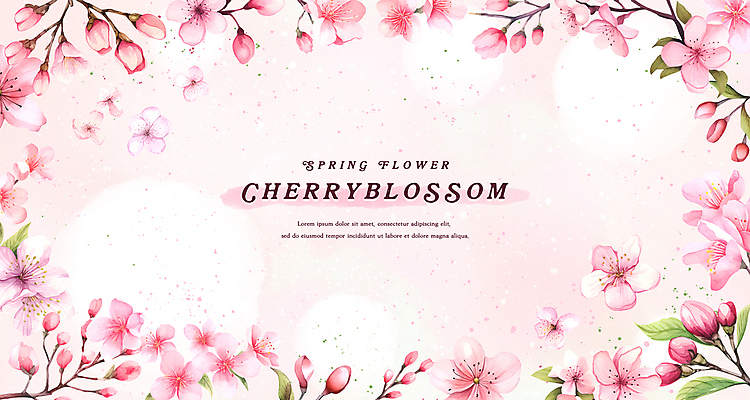 PSD 분홍색 백그라운드 잎 일러스트 수채화 프레임 사람없음 봄 벚꽃 국내일러스트 식물 계절 꽃 컬러 파일형식