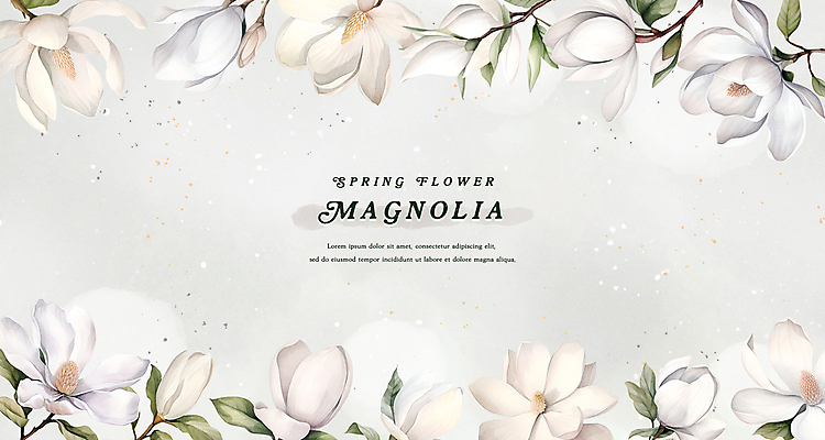 PSD 백그라운드 일러스트 나뭇잎 수채화 프레임 사람없음 봄 흰색 목련 국내일러스트 계절 꽃 컬러 잎 파일형식