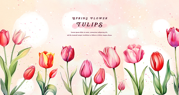 PSD 줄기 분홍색 백그라운드 잎 일러스트 수채화 프레임 사람없음 빨간색 봄 튤립 국내일러스트 식물 계절 꽃 컬러 파일형식