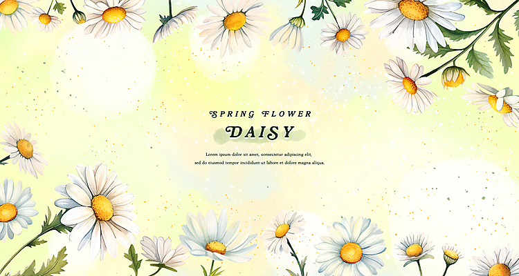 PSD 줄기 백그라운드 잎 일러스트 수채화 프레임 사람없음 노란색 봄 데이지 국내일러스트 식물 계절 꽃 컬러 파일형식