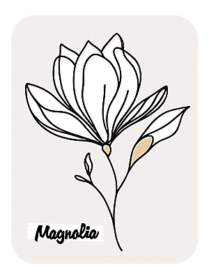 꽃 라인일러스트 일러스트 봄꽃 사람없음 흰색 목련 국내일러스트 AI파일 식물 컬러 봄 파일형식 벡터