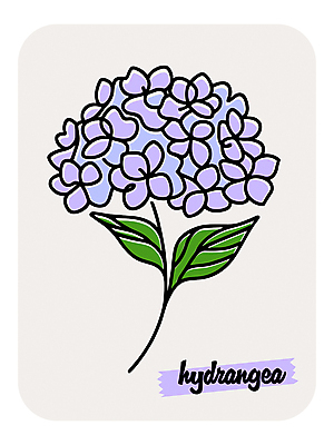 꽃 라인일러스트 일러스트 여름꽃 사람없음 보라색 수국 국내일러스트 AI파일 식물 컬러 파일형식 벡터 여름_계절