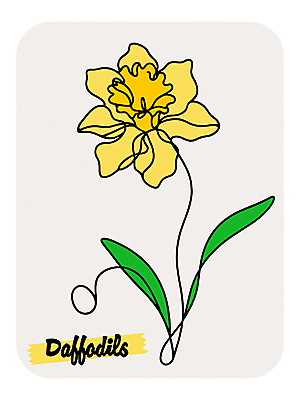 꽃 라인일러스트 일러스트 봄꽃 사람없음 노란색 수선화 국내일러스트 AI파일 식물 컬러 봄 파일형식 벡터