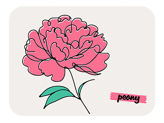 꽃 분홍색 라인일러스트 일러스트 여름꽃 사람없음 작약 국내일러스트 AI파일 식물 컬러 파일형식 벡터 여름_계절