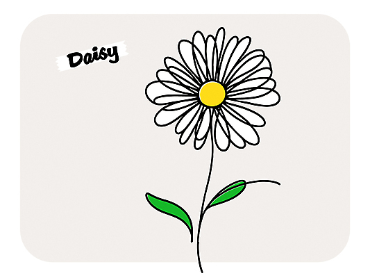 꽃 라인일러스트 일러스트 여름꽃 봄꽃 사람없음 흰색 데이지 국내일러스트 AI파일 식물 컬러 봄 파일형식 벡터 여름_계절