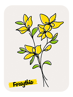 꽃 라인일러스트 일러스트 봄꽃 사람없음 노란색 개나리 국내일러스트 AI파일 식물 컬러 봄 파일형식 벡터