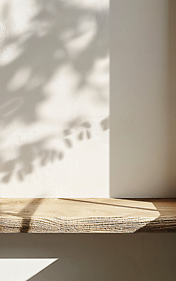 JPG 나무 편집이미지 선반 그림자 사람없음 햇빛 흰색 분위기 편집실사 AI포토 AI콘텐츠 식물 컬러 가구 컨셉 태양 CG 파일형식