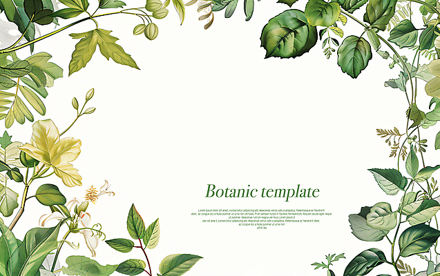 PSD 편집이미지 꽃 프레임 타이포그라피 사람없음 풀잎 디지털합성 카피스페이스 보테니컬아트 이미지편집 식물 문자 잎 공백 풀_식물 파일형식