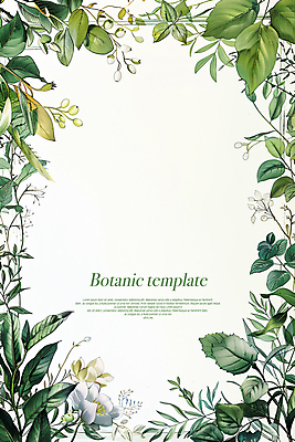 PSD 편집이미지 꽃 프레임 타이포그라피 사람없음 풀잎 디지털합성 카피스페이스 보테니컬아트 이미지편집 식물 문자 잎 공백 풀_식물 파일형식