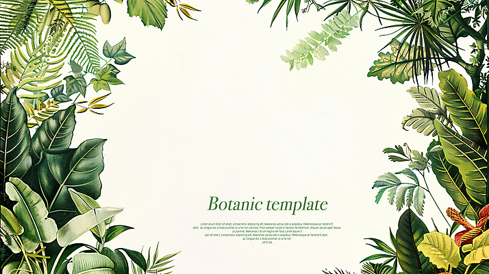 PSD 편집이미지 꽃 프레임 타이포그라피 사람없음 풀잎 디지털합성 카피스페이스 보테니컬아트 이미지편집 식물 문자 잎 공백 풀_식물 파일형식