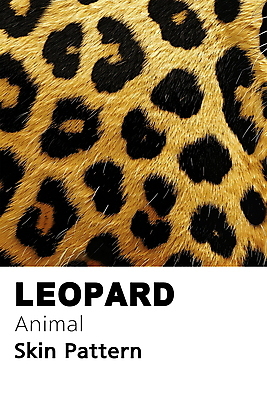 PSD 동물 편집이미지 백그라운드 무늬 패턴 사람없음 노란색 검은색 점 디지털합성 질감 표범 편집소스 이미지편집 컬러 포유류 파일형식