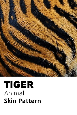 PSD 동물 편집이미지 백그라운드 무늬 패턴 사람없음 검은색 줄무늬 호랑이 디지털합성 질감 편집소스 이미지편집 컬러 포유류 파일형식
