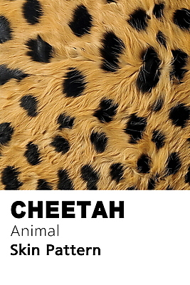 PSD 동물 편집이미지 백그라운드 무늬 패턴 사람없음 노란색 검은색 점 디지털합성 질감 치타 편집소스 이미지편집 컬러 포유류 파일형식