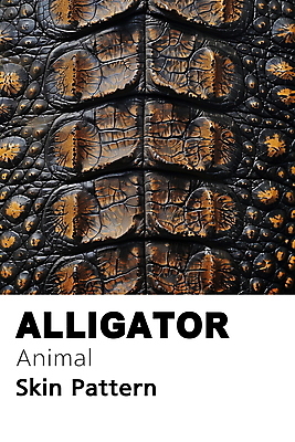 PSD 동물 편집이미지 백그라운드 패턴 파충류 사람없음 갈색 검은색 디지털합성 질감 악어 악어가죽 편집소스 이미지편집 컬러 무늬 가죽 파일형식