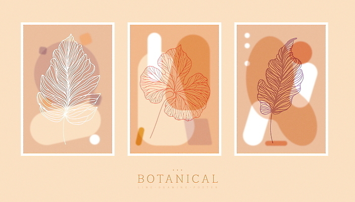 식물 디자인 포스터 잎 일러스트 사람없음 세트 갈색 라인아트 심플 벽장식 파스텔톤 세련 미니멀 국내일러스트 AI파일 선 컬러 장식 파일형식 벡터