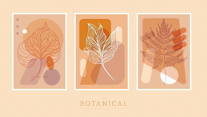 식물 디자인 포스터 잎 일러스트 사람없음 세트 갈색 라인아트 심플 벽장식 파스텔톤 세련 미니멀 국내일러스트 AI파일 선 컬러 장식 파일형식 벡터