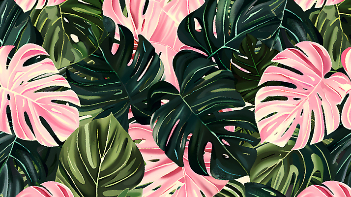 JPG 분홍색 백그라운드 잎 일러스트 사람없음 초록색 열대식물 몬스테라 국내일러스트 AI일러스트 AI콘텐츠 식물 컬러 파일형식
