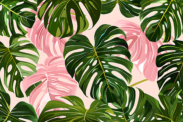 JPG 분홍색 백그라운드 잎 일러스트 사람없음 초록색 열대식물 몬스테라 국내일러스트 AI일러스트 AI콘텐츠 식물 컬러 파일형식