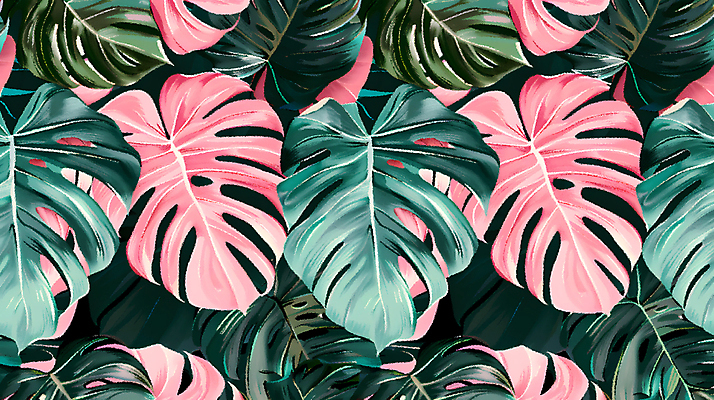 JPG 분홍색 백그라운드 잎 일러스트 사람없음 초록색 열대식물 몬스테라 국내일러스트 AI일러스트 AI콘텐츠 식물 컬러 파일형식