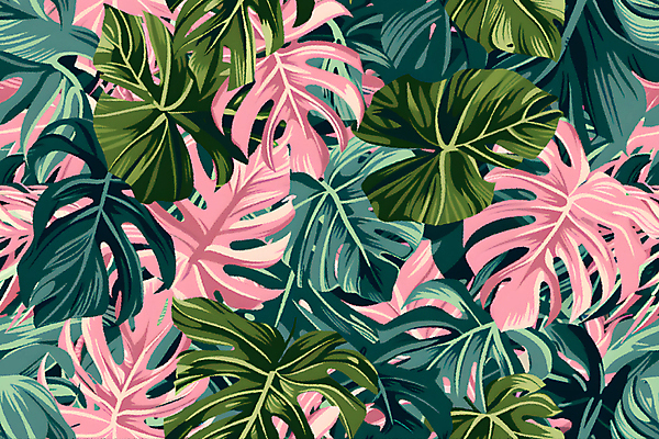 JPG 분홍색 백그라운드 잎 일러스트 사람없음 초록색 열대식물 몬스테라 국내일러스트 AI일러스트 AI콘텐츠 식물 컬러 파일형식