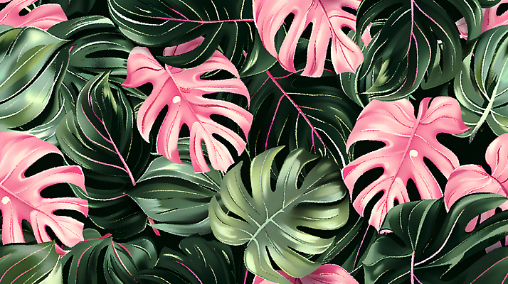 JPG 분홍색 백그라운드 잎 일러스트 사람없음 초록색 열대식물 몬스테라 국내일러스트 AI일러스트 AI콘텐츠 식물 컬러 파일형식