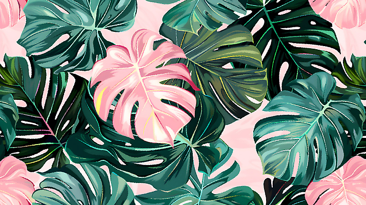 JPG 분홍색 백그라운드 잎 일러스트 사람없음 초록색 열대식물 몬스테라 국내일러스트 AI일러스트 AI콘텐츠 식물 컬러 파일형식