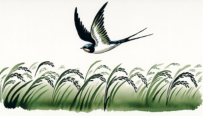 JPG 일러스트 붓터치 논 수묵화 사람없음 벼 비행 먹 동양화 번짐 제비 국내일러스트 AI일러스트 AI콘텐츠 농업 조류 서예 곡류 미술 파일형식 효과